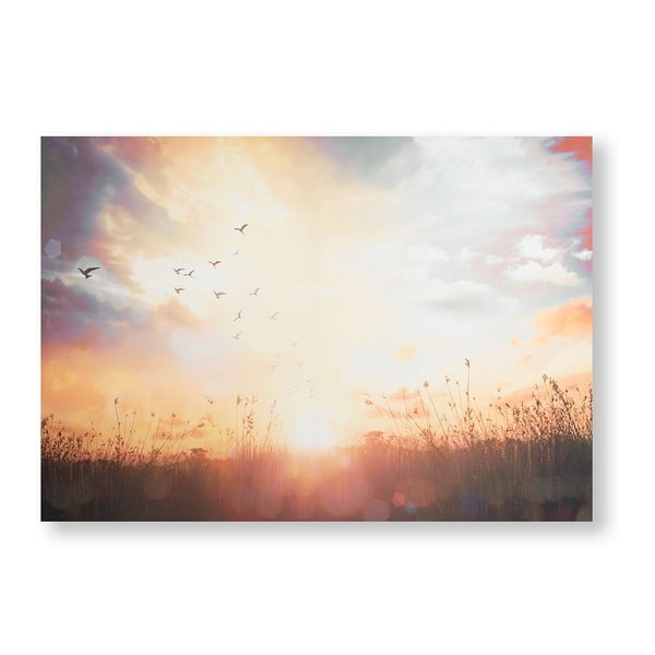 Obraz Graham & Brown Serene Sunset Meadow, 100 × 70 cm