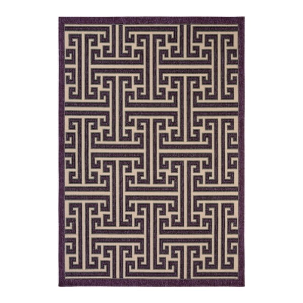 Tmavofialový koberec vhodný do exteriéru Veranda, 230 × 160 cm