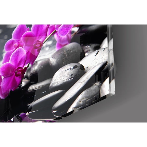 Sklenený obraz Insigne Orchid-image-2