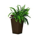 Plastový obal na kvetináč Rattan – Keter