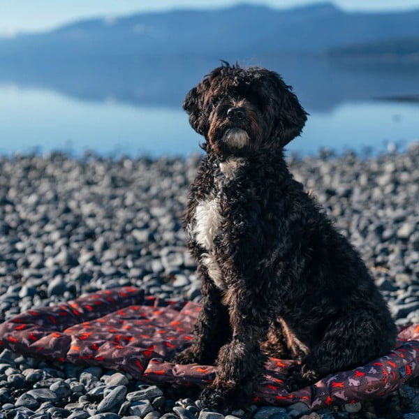 Hnedý cestovný pelech pre psa 50x75 cm Outdoor Chill Pad Mocha M – P.L.A.Y.-image-4