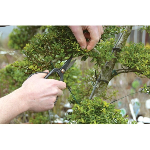 Oceľové nožnice na prestrihanie bonsaja Esschert Design Garden-image-3