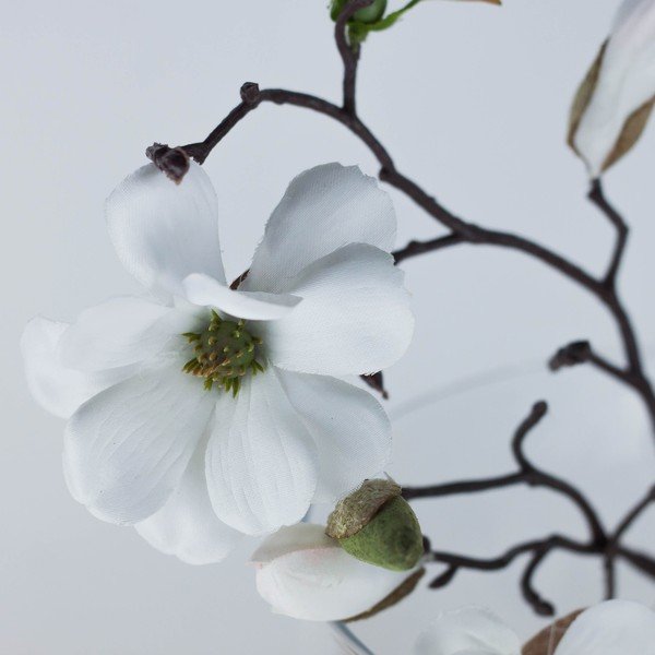 Kvetinová dekorácia od Aranžérie, biela magnólia vo váze-image-1