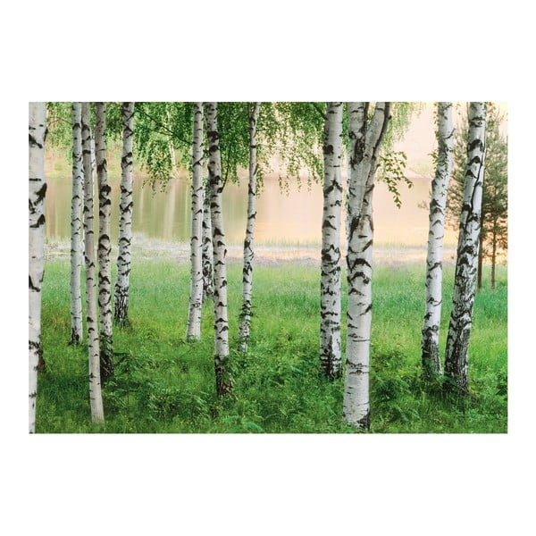 Veľkoformátová tapeta  Severský les, 366x254 cm