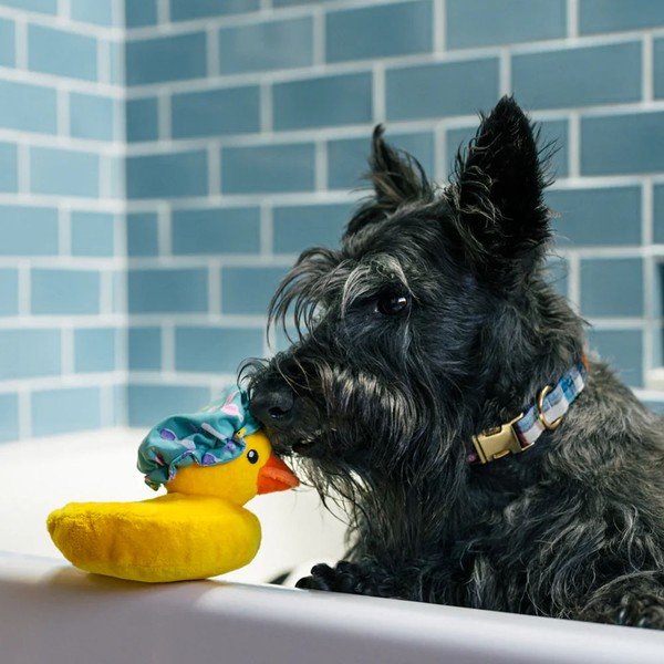 Hračka pre psa Kačička – P.L.A.Y.-image-1