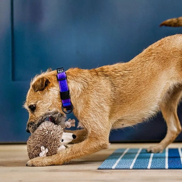 Hračka pre psa Ježko – P.L.A.Y.-image-2