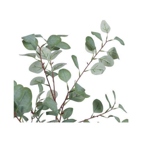 Umelý eukalyptus (výška 180 cm) Eucalyptus – Ixia-image-2