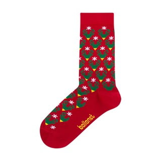 Ponožky v darčekovom balení Ballonet Socks Season's Greetings Socks Card with Caribou, veľkosť 36 - 40