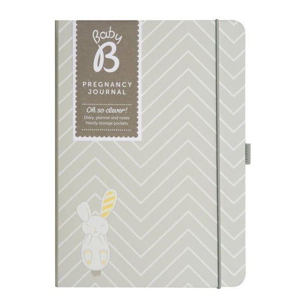 Denník pre tehotné mamičky Pregnancy Journal-image-1