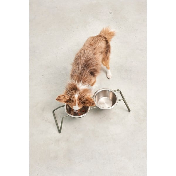 Súprava misiek s podstavcom pre psa z nehrdzavejúcej ocele Cena Grollive M – MiaCara-image-2