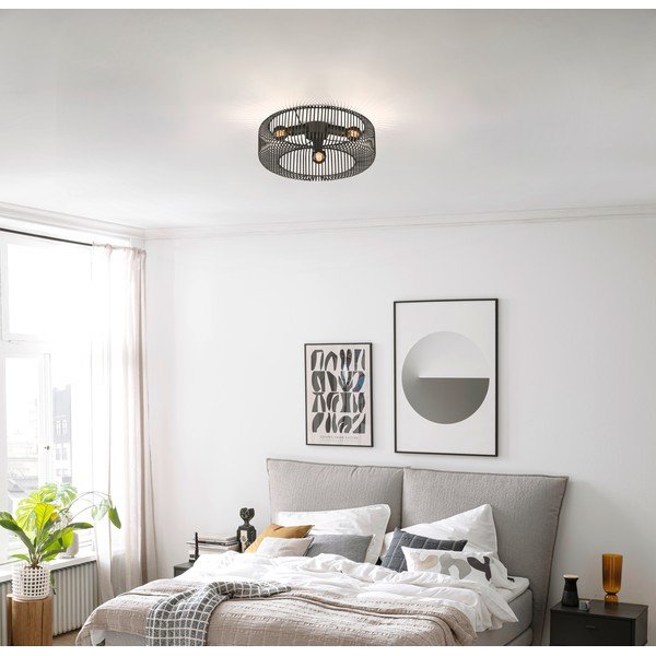 Čierne stropné svietidlo Cage – Fischer & Honsel-image-1