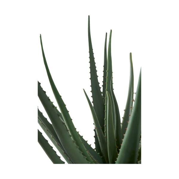 Umelá rastlina (výška 51 cm) Aloe Vera – House Nordic-image-3