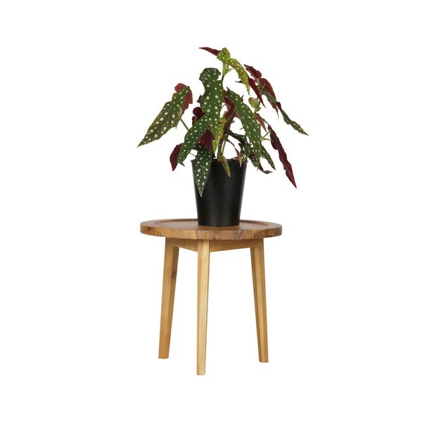 Prírodná stolička vtwonen Sprokkeltafel-image-2