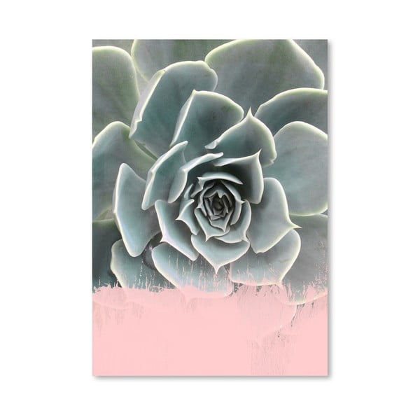 Plagát Americanflat Pink On Succulent, 30 × 42 cm
