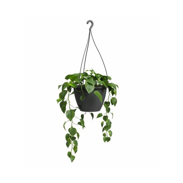 Plastový kvetináč ø 31 cm Algarve – Artevasi