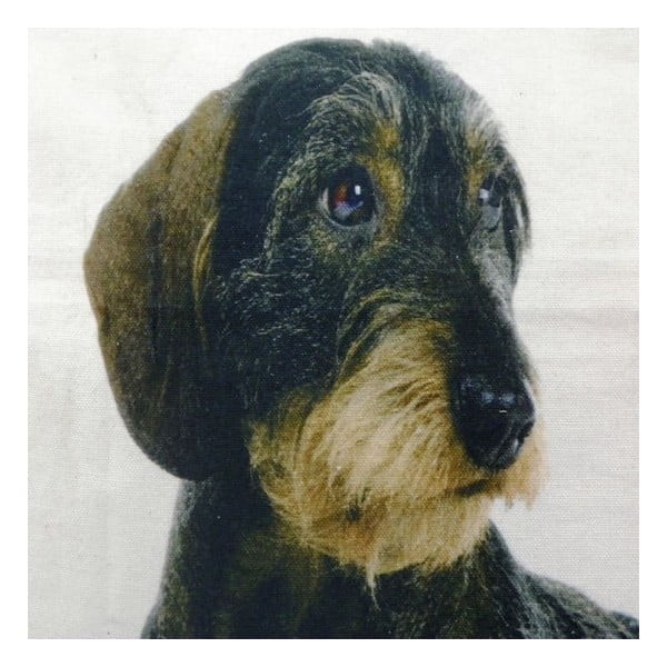 Vankúš Mars&More Dog 50 x 50 cm-image-1