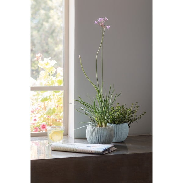 Plastové kvetináče v súprave 3 ks ø 15 cm Cozy – Keter-image-3