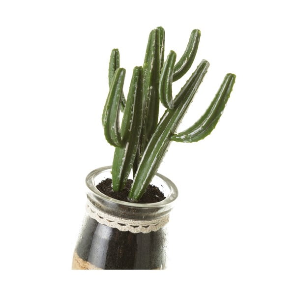 Umelé rastliny v súprave 4 ks (výška  18 cm) Cactus – Casa Selección-image-4