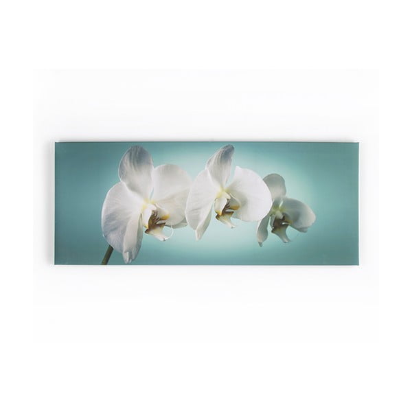 Obraz Graham & Brown Teal Orchid, 100 × 40 cm