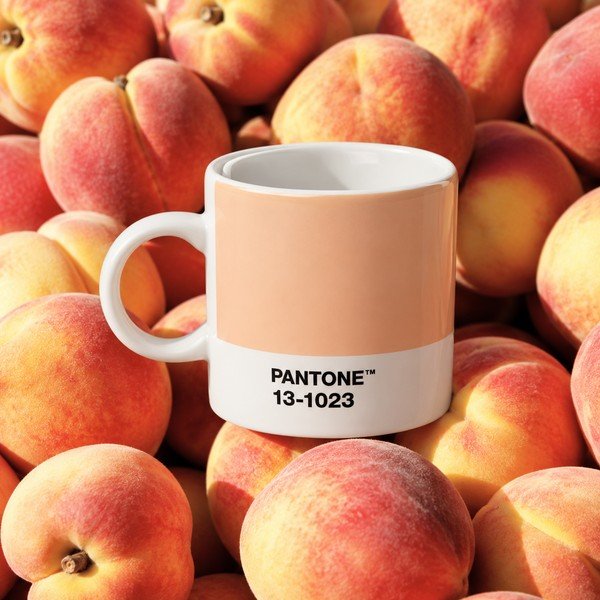 Broskyňová porcelánová šálka na espresso 120 ml Peach Fuzz 13-1023 – Pantone-image-1