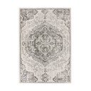 Sivo-krémový koberec 200x290 cm Nova – Asiatic Carpets