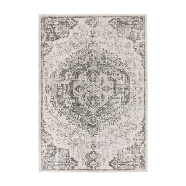Sivo-krémový koberec 160x230 cm Nova – Asiatic Carpets