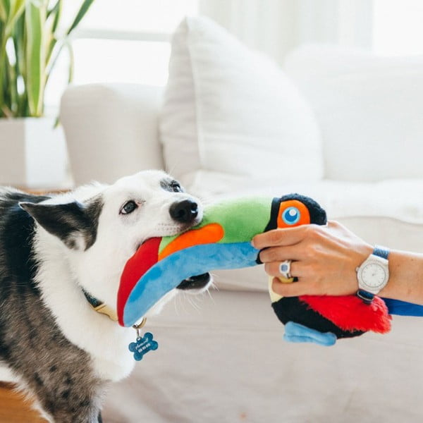 Hračka pre psa Tukan – P.L.A.Y.-image-1