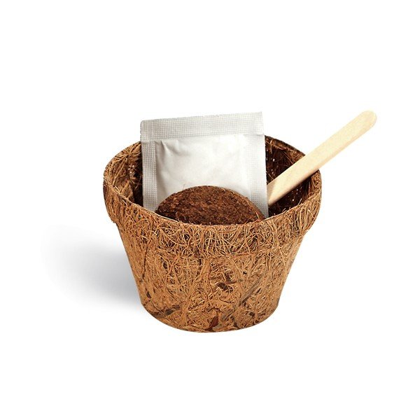 Pestovateľský set so semienkami štvorlístka Gift Republic Good Luck-image-1