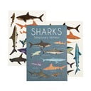 Dočasné tetovanie 2 ks Sharks - Rex London