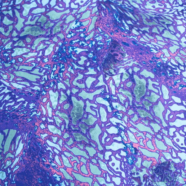 Modré bavlnené detské obliečky na jednolôžko 140x200 cm How To Train Your Dragon – Jerry Fabrics-image-4