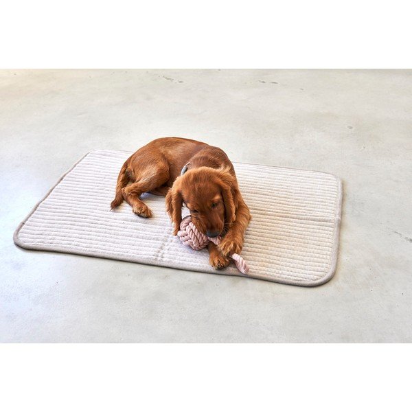 Béžová bavlnená deka pre psa 90x120 cm Onda Greige L – MiaCara-image-3