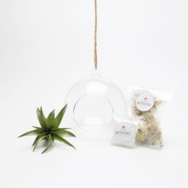 Terárium s rastlinami Globe Mini DIY