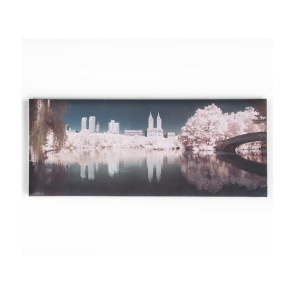 Obraz Graham & Brown Central Park, 100 × 40 cm