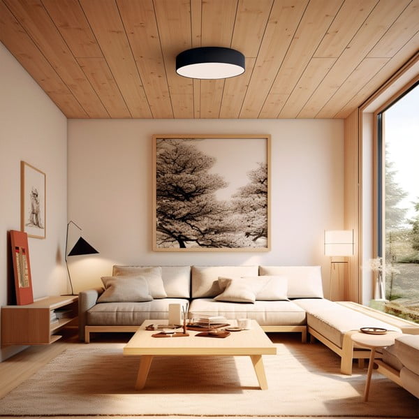 Čierne LED stropné svietidlo ø 60 cm – SULION-image-1