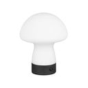Matne biela LED stolová lampa so skleneným tienidlom (výška  18 cm) Dooley – Reality