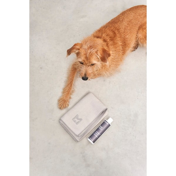 Uterák pre domáceho miláčika Panno Greige S/M – MiaCara-image-4