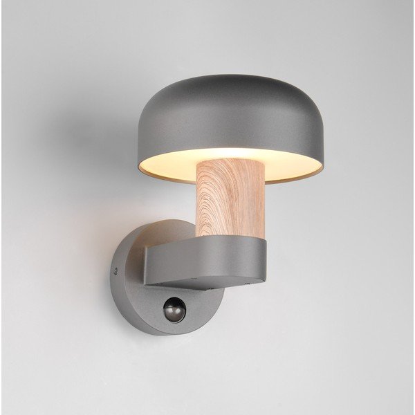 Nástenné vonkajšie svietidlo (výška 24,5 cm) Fraser – Trio-image-1