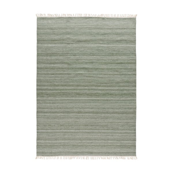 Zelený vonkajší koberec z recyklovaného plastu Universal Liso, 140 x 200 cm