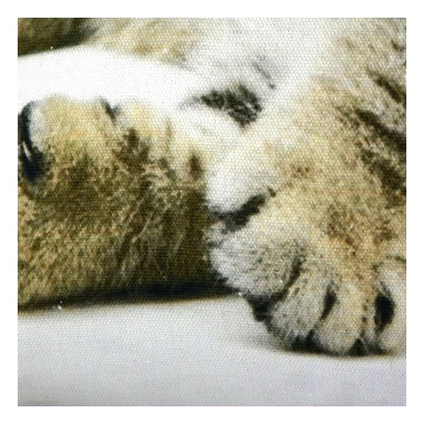 Vankúš Cat 50x35 cm-image-1