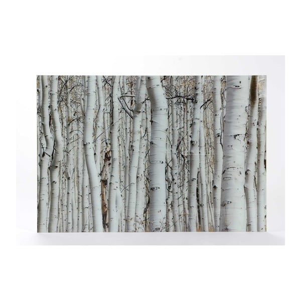 Sklenený obraz Amadeus Winter Forest
