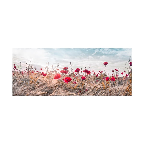 Obraz na plátne Styler Poppies, 60 x 150 cm