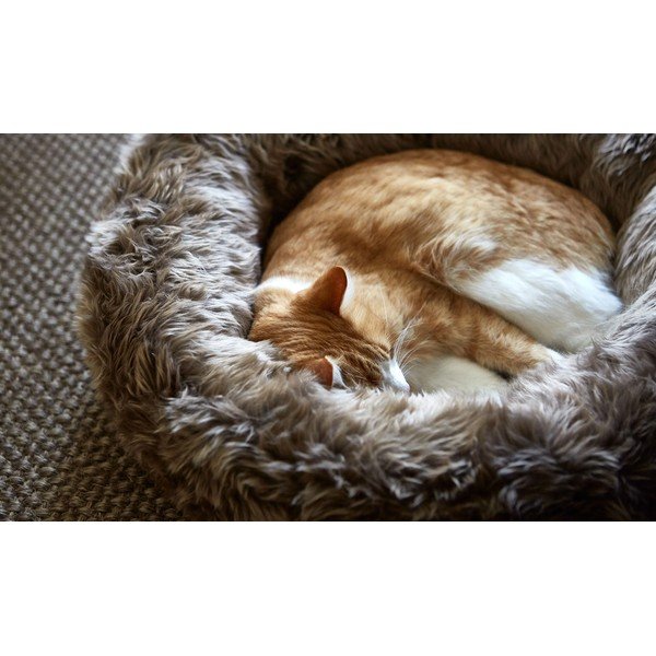 Krémový pelech pre domáceho maznáčika z umelej kožušiny ø 50 cm Lana Ivory/Mottled Natural – MiaCara-image-2