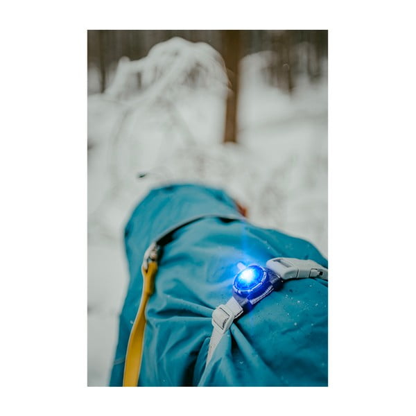 LED svetlo na obojok Blue – Orbiloc-image-3
