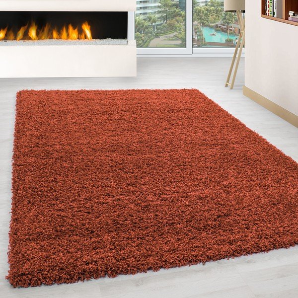 Koberec v terakotovej farbe 160x230 cm Life – Ayyildiz Carpets-image-1