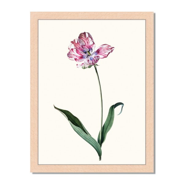 Obraz v ráme Liv Corday Provence Red Floral, 30 x 40 cm