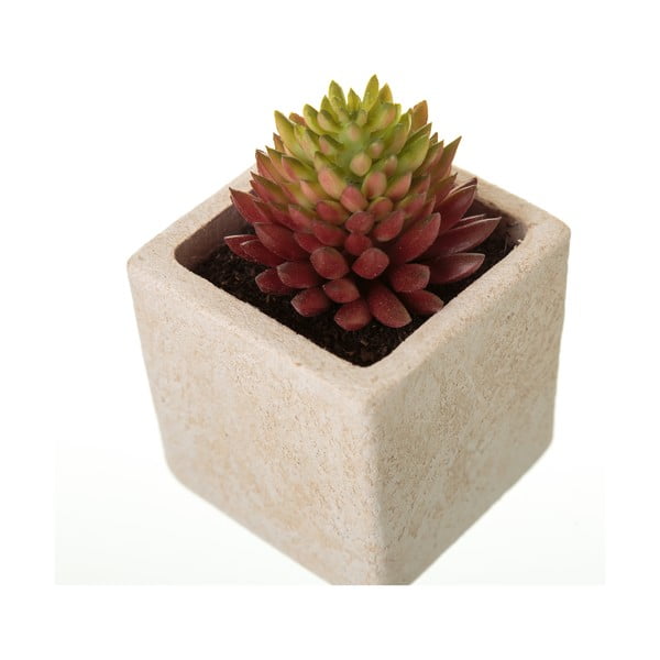 Umelé rastliny v súprave 6 ks (výška  9,5 cm) Cactus – Casa Selección-image-4