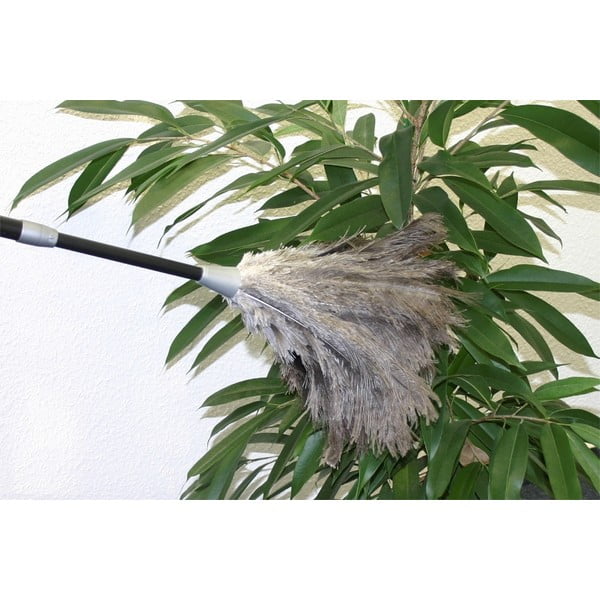 Prachovka z pštrosieho peria - Maximex-image-2