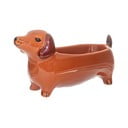 Porcelánová dekoratívna misa 5x14 cm Sausage Dog – Sass & Belle