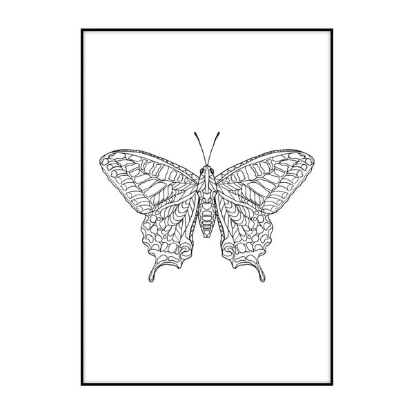 Plagát Imagioo Butterfly, 40 × 30 cm