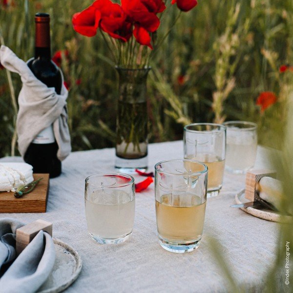 Pohár La Rochère Libellules, objem 350 ml-image-2